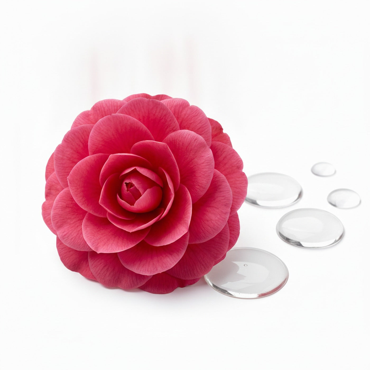 Camellia Oil